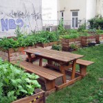 local-squares-encuentro-en-viena