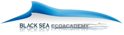 Logo BSEA
