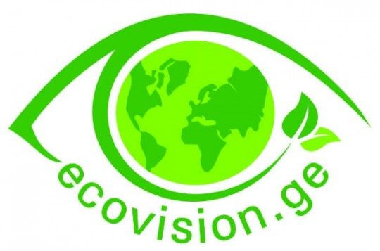ecovision_logo