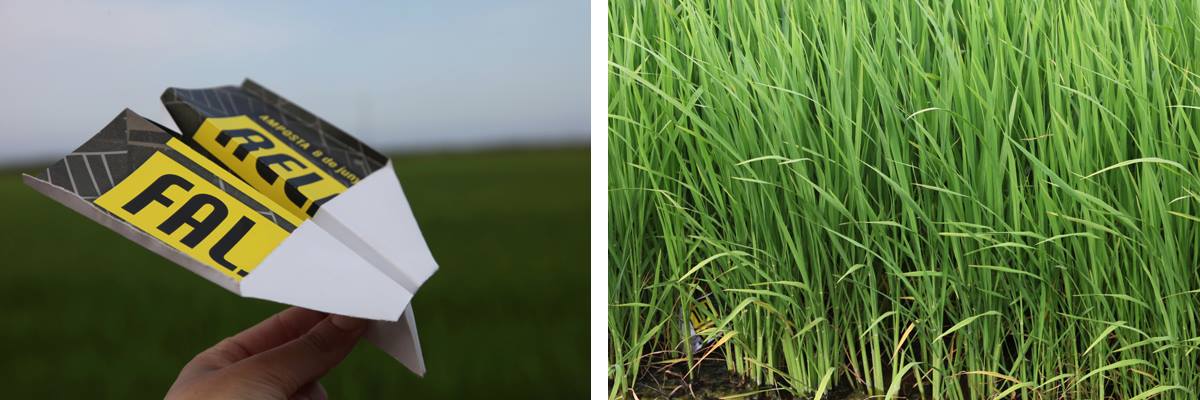 Exposición colectiva «Un Dilema: Arte contemporáneo y la inversión en la incertidumbre», en el Centre d’Arts Santa Monica de Barcelona.